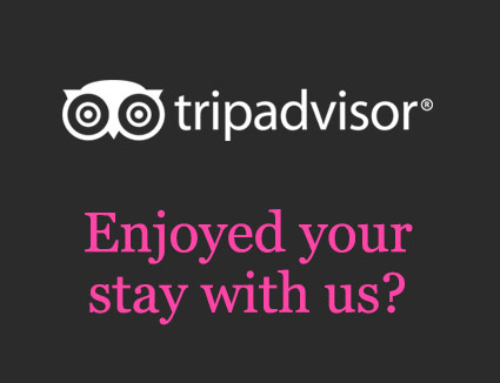 See the world’s opinion of us on TripAdvisor