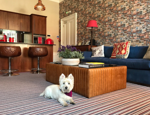 The wee white dug finds a ‘posh pad’ to rest his paws in Edinburgh